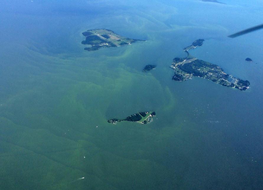 NASA shared w/us this photo from their recent fly-over of Lake Erie. It shows Middle and North Bass islands and algae