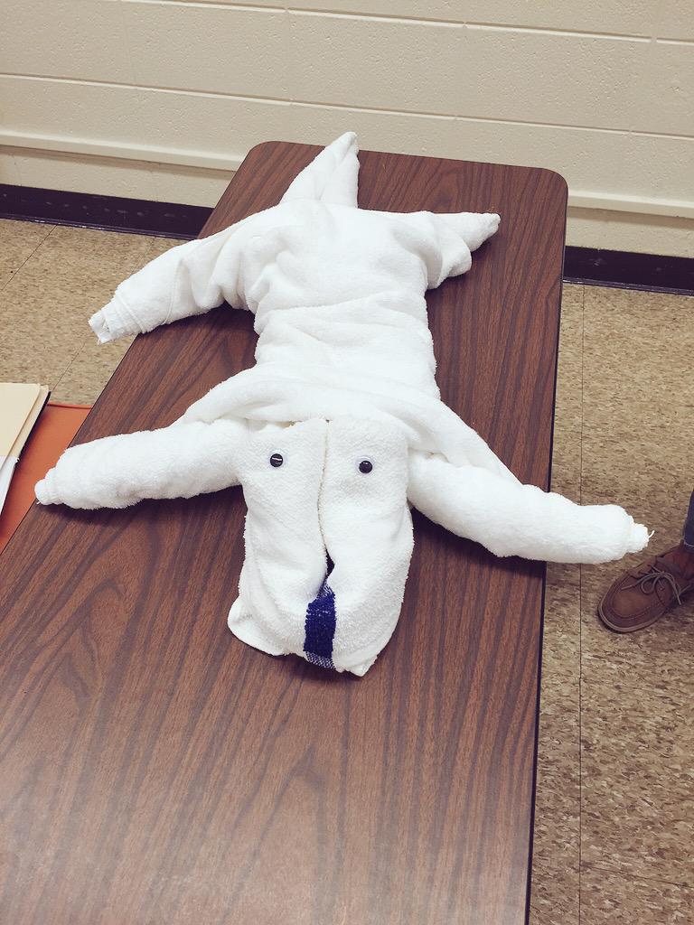 Rache_Leighann's tweet image. Finished my very last summer class for undergrad! I thought my final yesterday looked very cute 😏 #elementaryedmajor