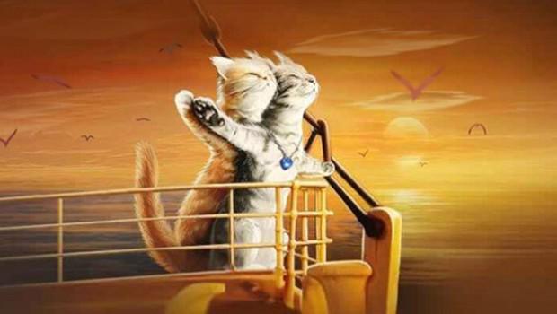 Elrubius Com Auf Twitter Titanic Protagonizada Por Gatos