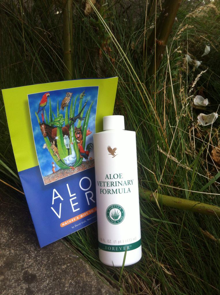 Joscelynx's tweet photo. Aloe vet first for pets :-) cuts , raw skin or just a healthy shiny coat ! http://t.co/OYLXD0NgJv