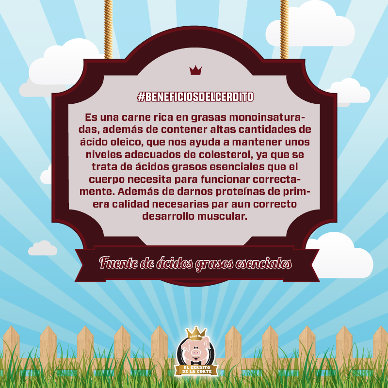 ElCerditoDe's tweet photo. Desde hoy empezaremos a publicar #Tips, #Beneficios, #Curiosidades y #Recetas de la carne de cerdo #SaborReal http://t.co/bECWlTkm3d