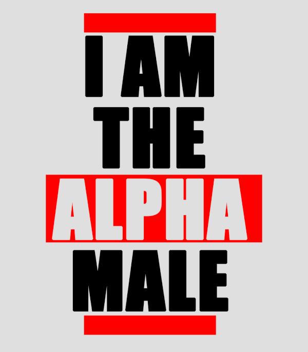 LeMansHandball's tweet photo. Celui qui est l'ALPHA retweet! #Handball #AlphaMale @TotoHandball72 @MaxenceMerget @fgautier72 @ClementGandon http://t.co/SSw0NNybns