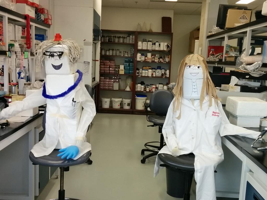 TaharimaHabib's tweet image. Fancy seeing you here :) #lablyfe @MCrie  ever get that feeling you're done for the day?