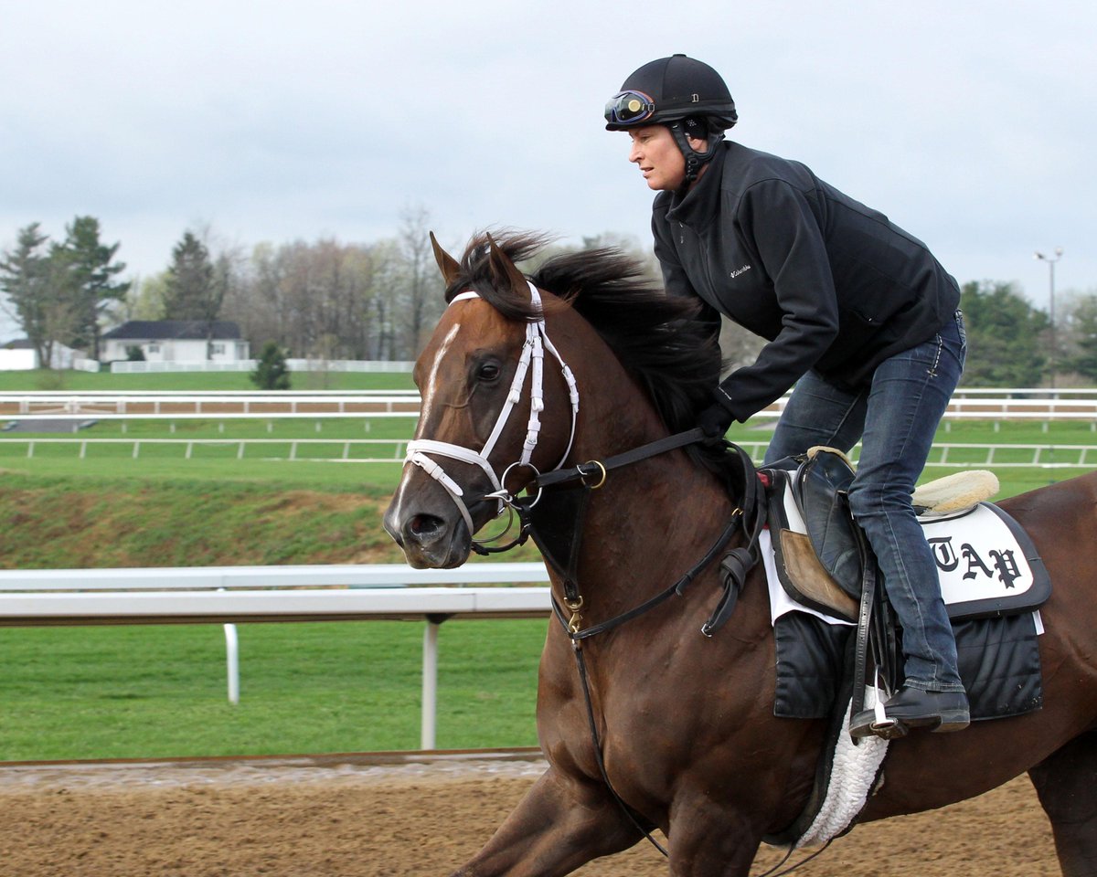 HRTVInsider's tweet photo. Carpe Diem has been retired due to a knee chip &amp; will stand at stud in 2016 @WinStarFarm Watch http://t.co/1wQ3KryJqV http://t.co/kQPlfglHoH