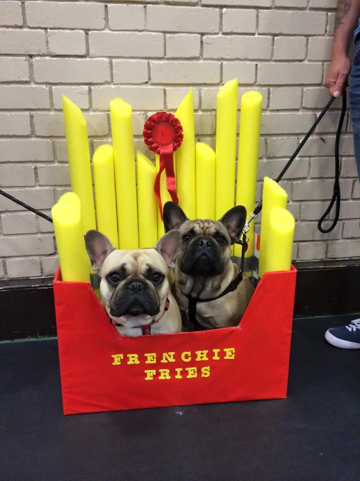 FrenchieSweep's tweet photo. Frenchie Fries #Brothers #BestEver #TooCute http://t.co/OKQBIyif9s