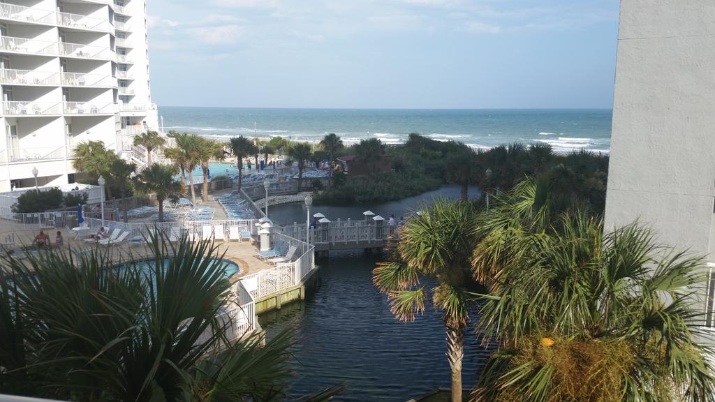 Olivia Sefchok tweet media