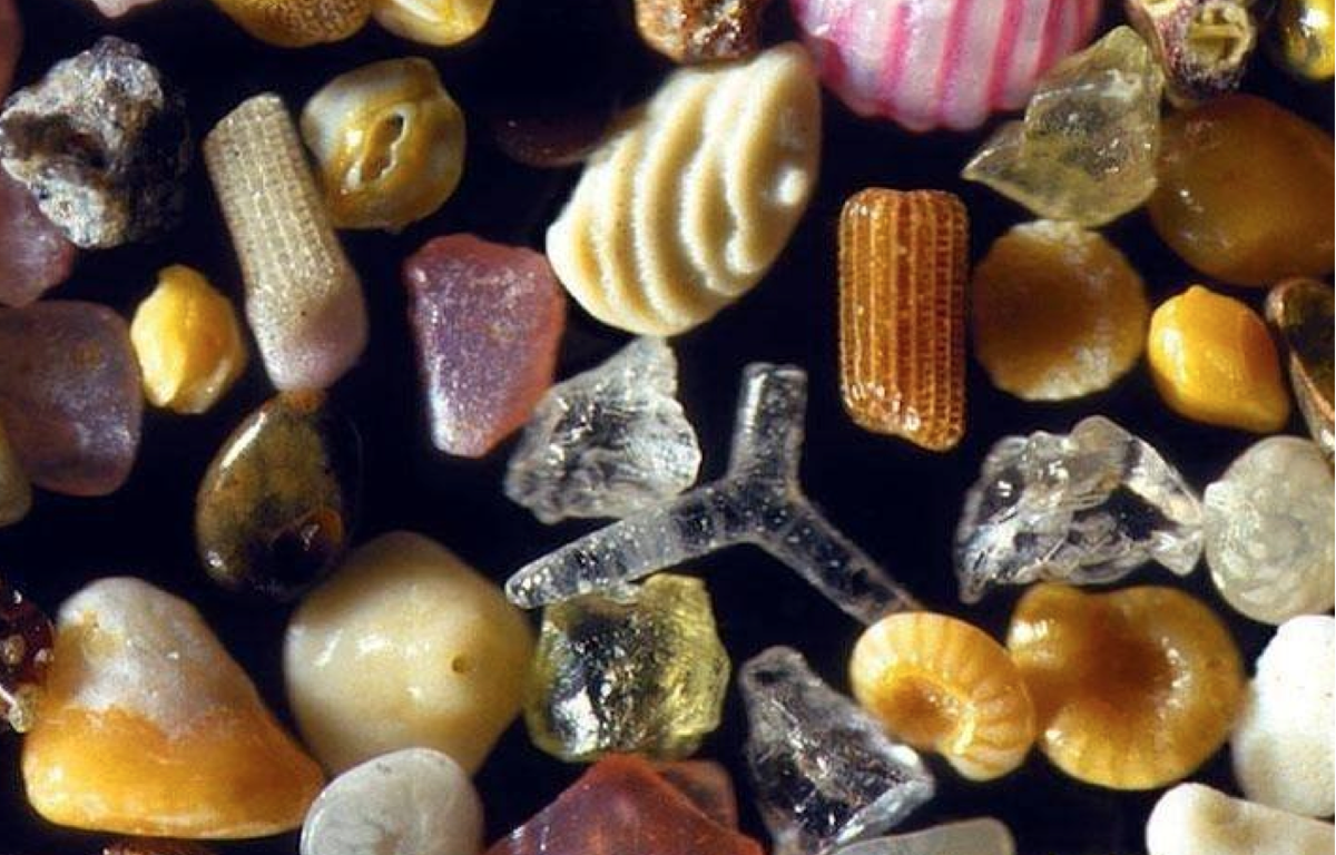 SUPthemag's tweet photo. Must-have minerals for your diet in our #PaddleHealthy series presented by @SunProtectZone : http://t.co/u0l2DxpliR http://t.co/LG1rKUZ9c3