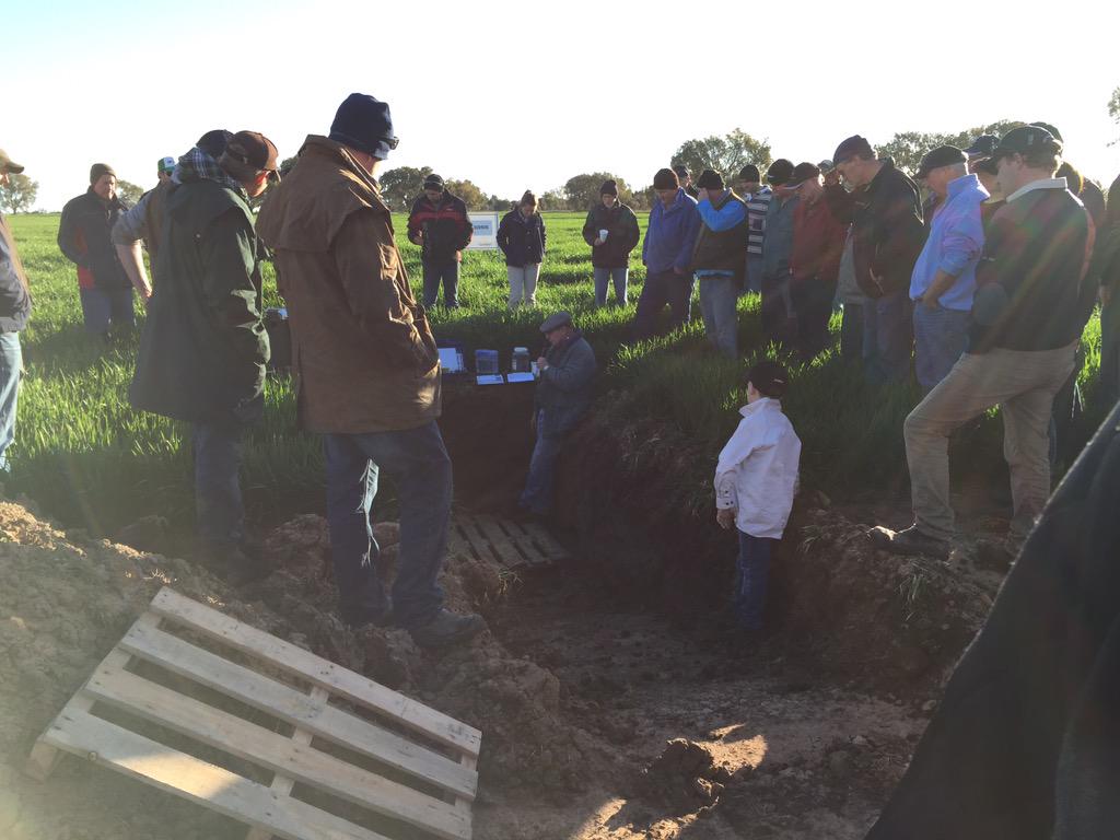 TrudyMcElroy's tweet photo. We had a great cropping afternoon yesterday #farmingdiscussion #cropmanagement #dyenight http://t.co/XapY3Uowmx