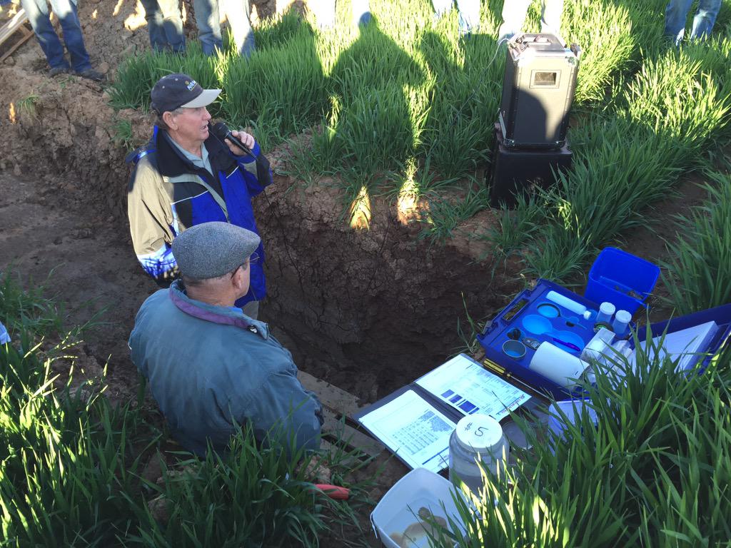 TrudyMcElroy's tweet photo. We had a great cropping afternoon yesterday #farmingdiscussion #cropmanagement #dyenight http://t.co/XapY3Uowmx