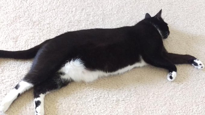 Watch ≫ BirdyLovesIt ≪'s leaked NSFW photo on TwXstars