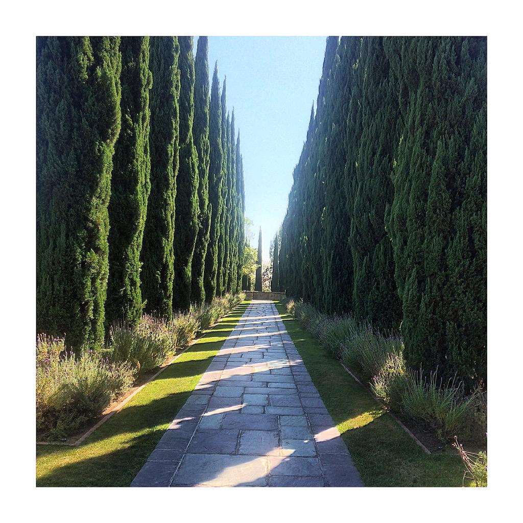 Charles Shipley tweet media