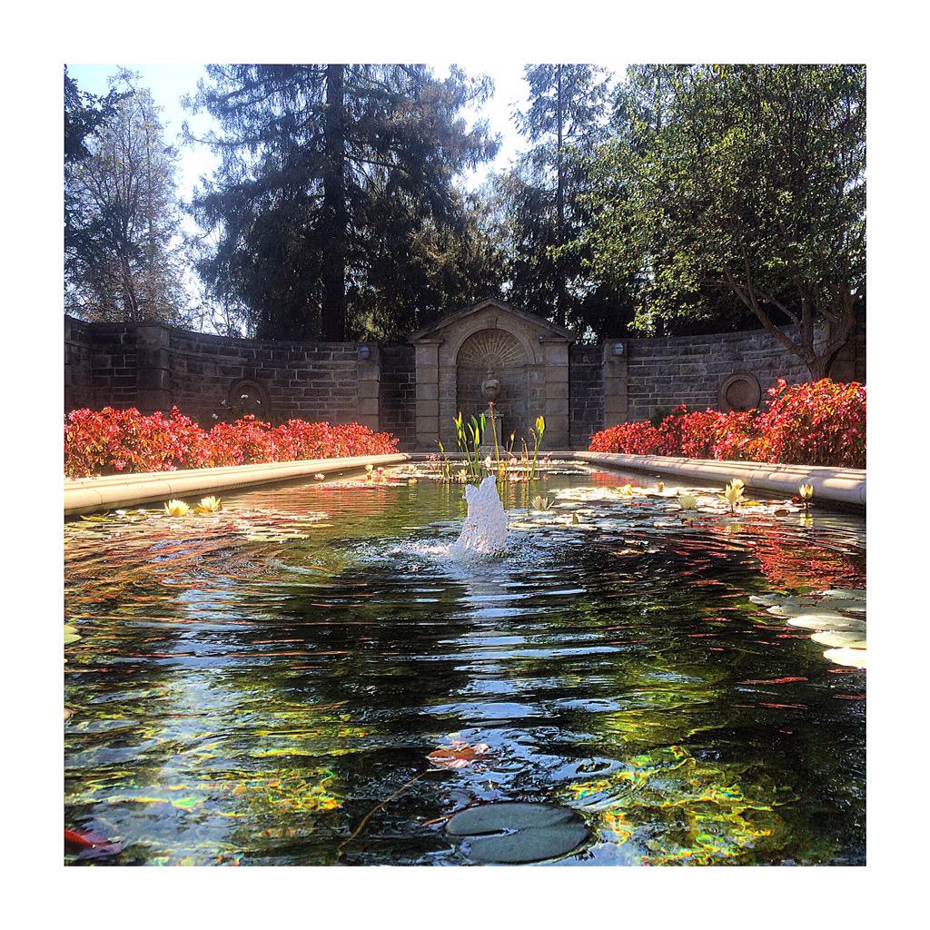 Charles Shipley tweet media