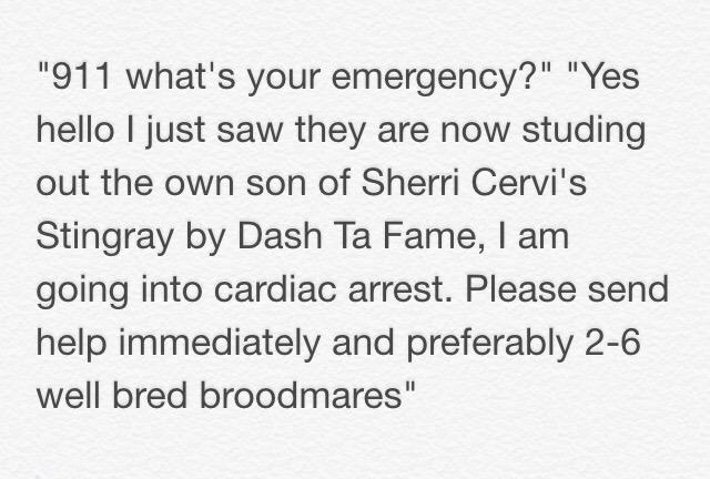 rodeolyfe's tweet image. Currently: