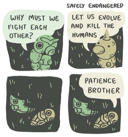 When bugs attack...