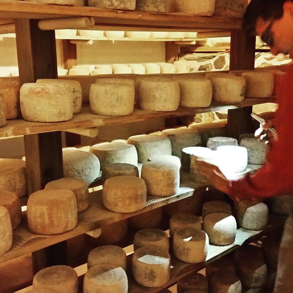 JeffInHouseChef's tweet photo. Fun time seeing @MeadowsetFarm this am! Great for me to learn and see where great ingredients come from. Thx Jake! http://t.co/16SxYWi1Ut