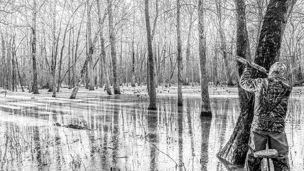 BandedBrands's tweet photo. Should have seen it in color... #BandedLife http://t.co/lZl452Rcbc