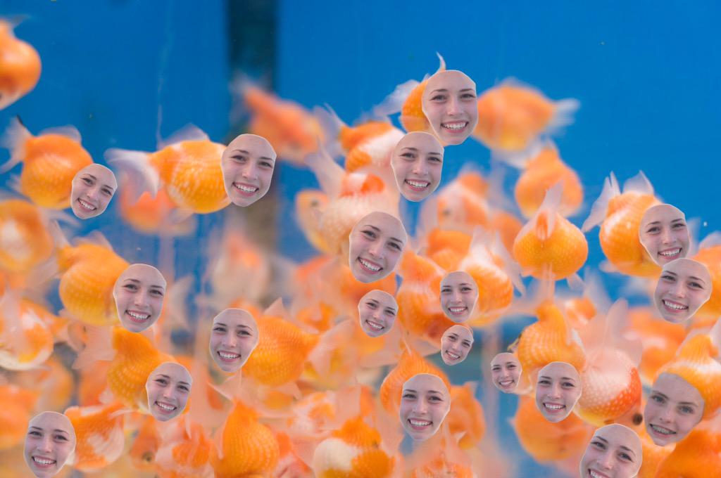 Fishandfarts's tweet photo. What is that I smell? Ah yes a birthday to my fellow friend. @caroline_bruns HBD! You are the fish scale to my heart! http://t.co/H8PjrVL7ov