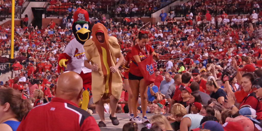 MLB's tweet image. So a hot dog and a bird walk into a stadium ... #NationalHotDogDay