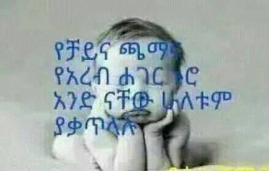 TeferaHirut's tweet photo. http://t.co/fd56Q6kfO1