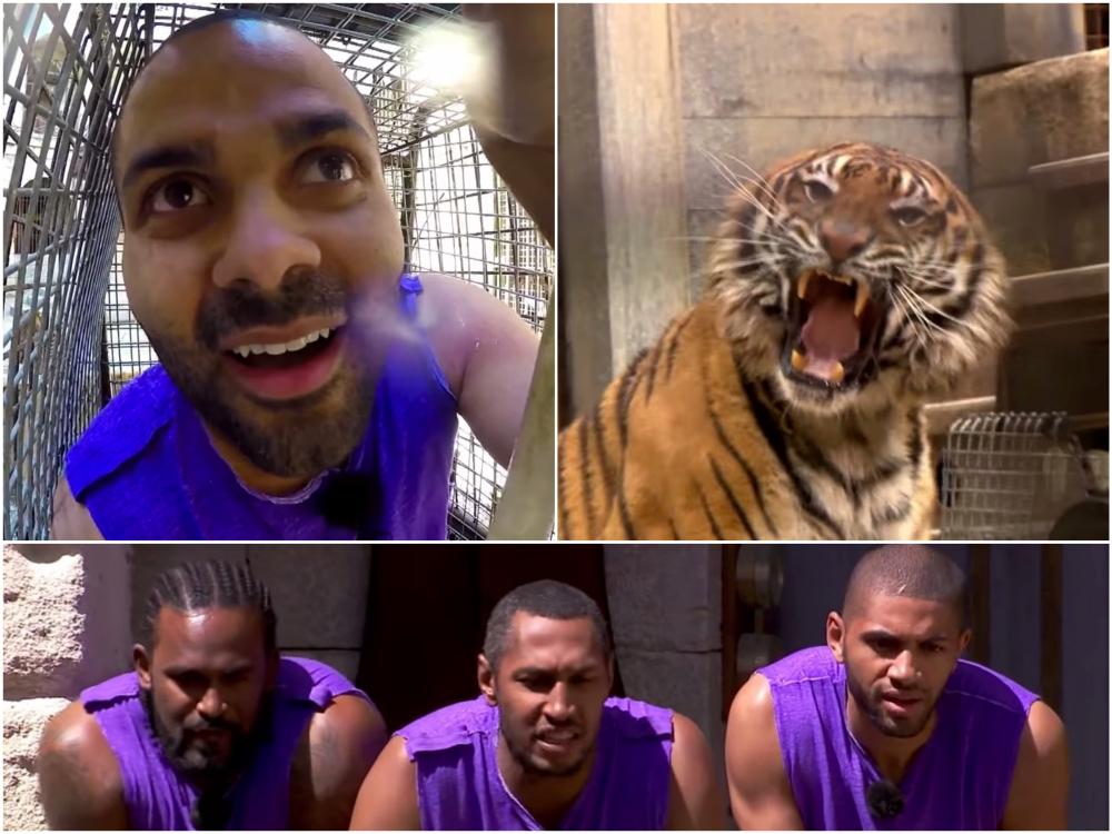 Tony Parker encerrado en una jaula con un tigre