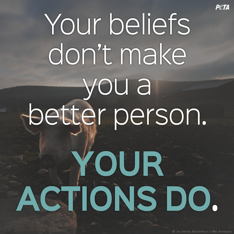 peta's tweet photo. Make your actions count: http://t.co/JaTYnQuONh #Compassion4All http://t.co/RSQn7RMzwj