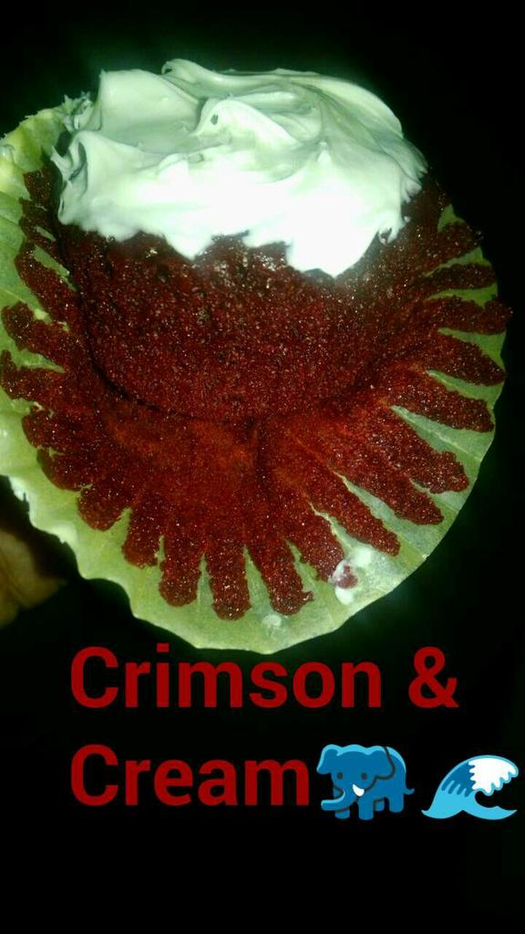 Jasmine_venom01's tweet photo. Crimson&amp;Cream. 🐘🌊
#notredvelvet
#whenyouaBAMAfan http://t.co/47RItrBAzI