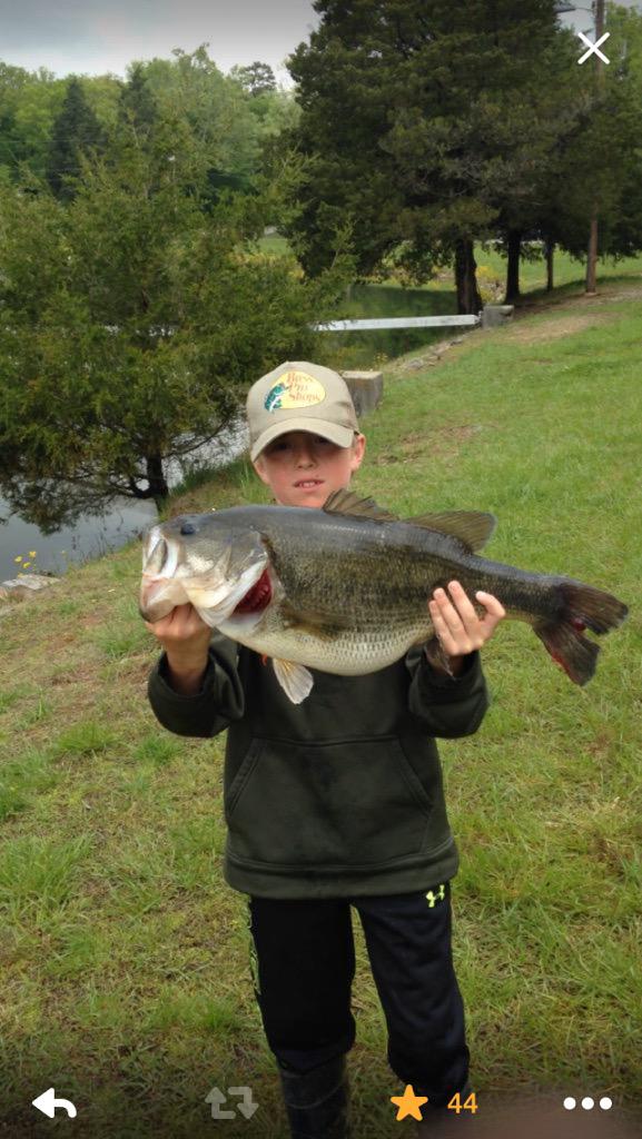 jeff shaw tweet media