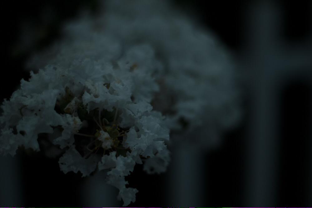 wstdperspective's tweet photo. No todas las ilusiones se esconden. - Wasted Perspective | #photography #fotografía #ilusiones #wastedperspective http://t.co/HwKOqmrcVX