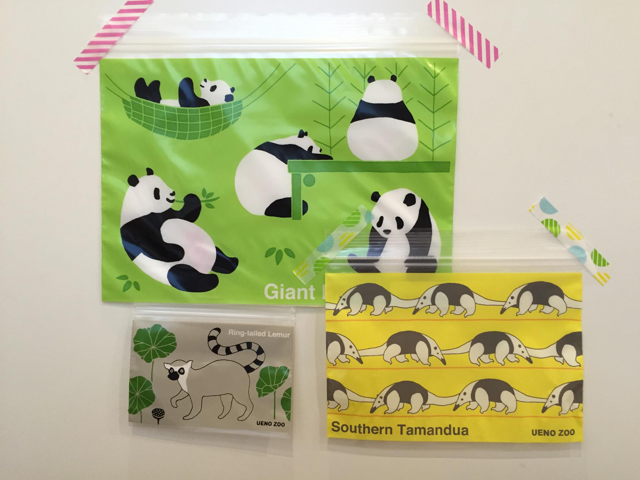 公式 上野動物園［公式］ on X:  机上用品・文具収納