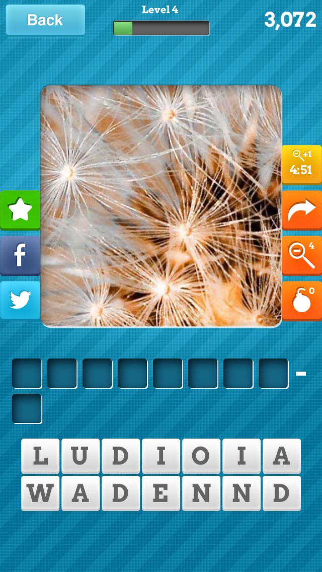 lileth11's tweet photo. Can anyone guess what this close up is of? #CloseUpPics for iOS: http://t.co/3695uA2SP7 http://t.co/8j2yyST8dQ