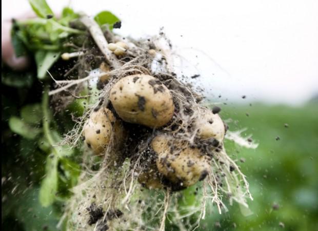 #Medemblik #nieuwsupdate: #westfriese #tafel #zomermarkt #verplaatst naar 5 #september a.s. medemblikactueel.nl/?p=60940