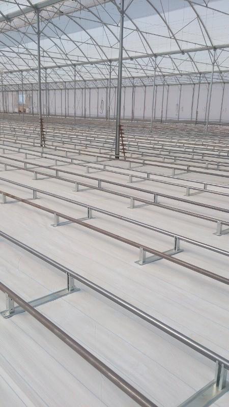 CombiCoop BV tweet media