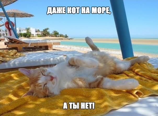 Marie_Adara's tweet photo. Эх..... #лето2015 http://t.co/X4AvJvcuTo
