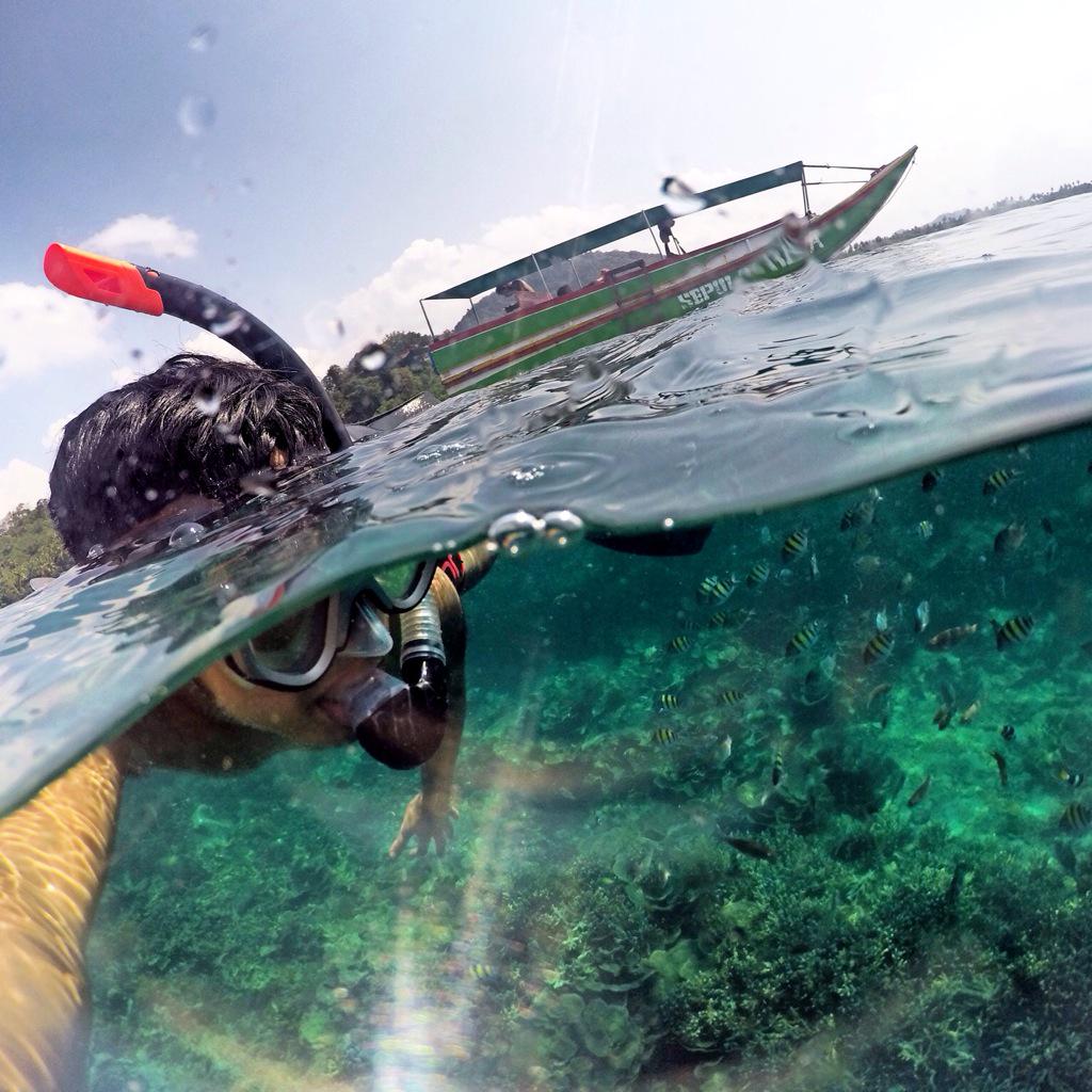 delicious is the young #Domegopro #Goproid #goproidlampung #gopro #explorelampung