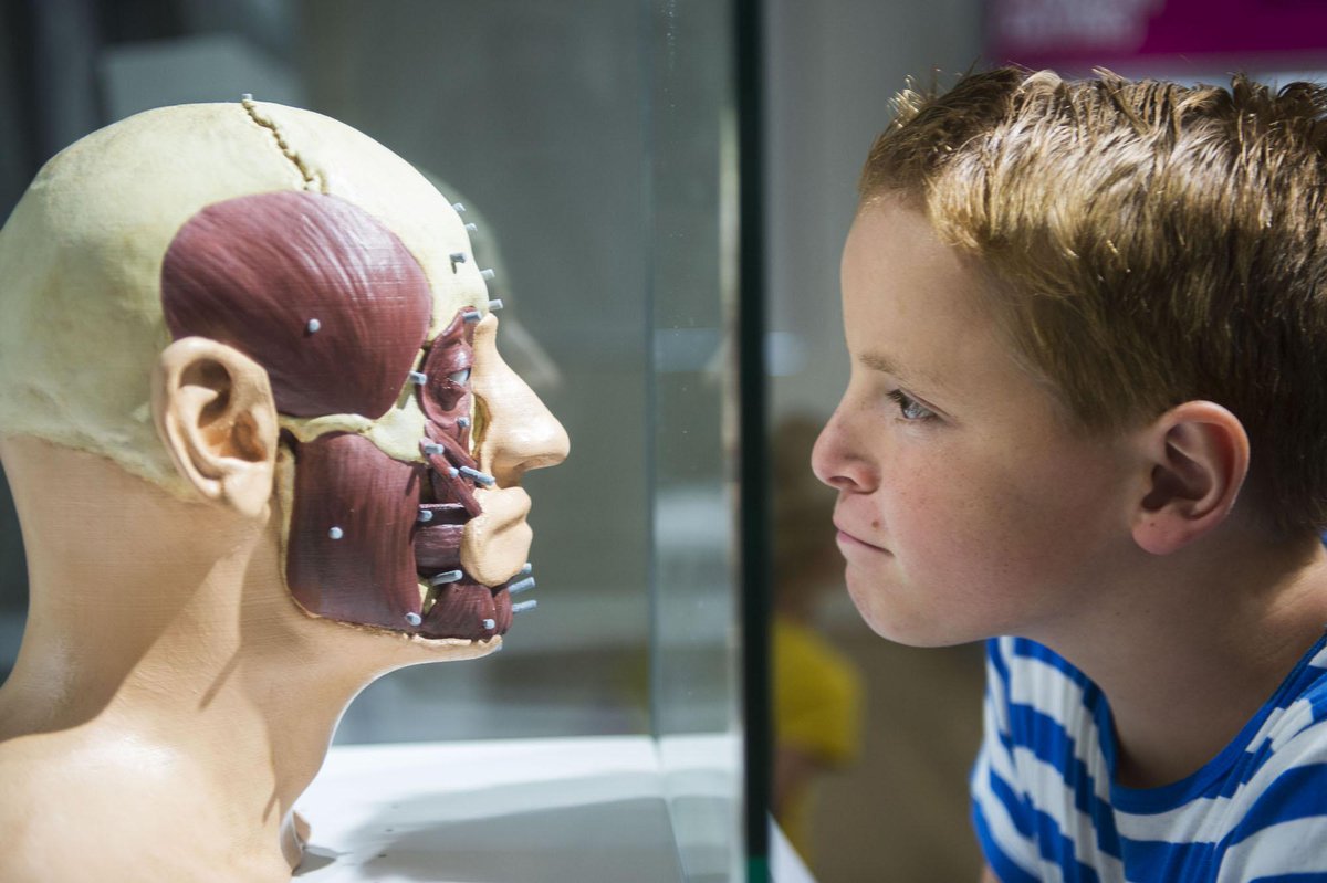 Embedded image permalink