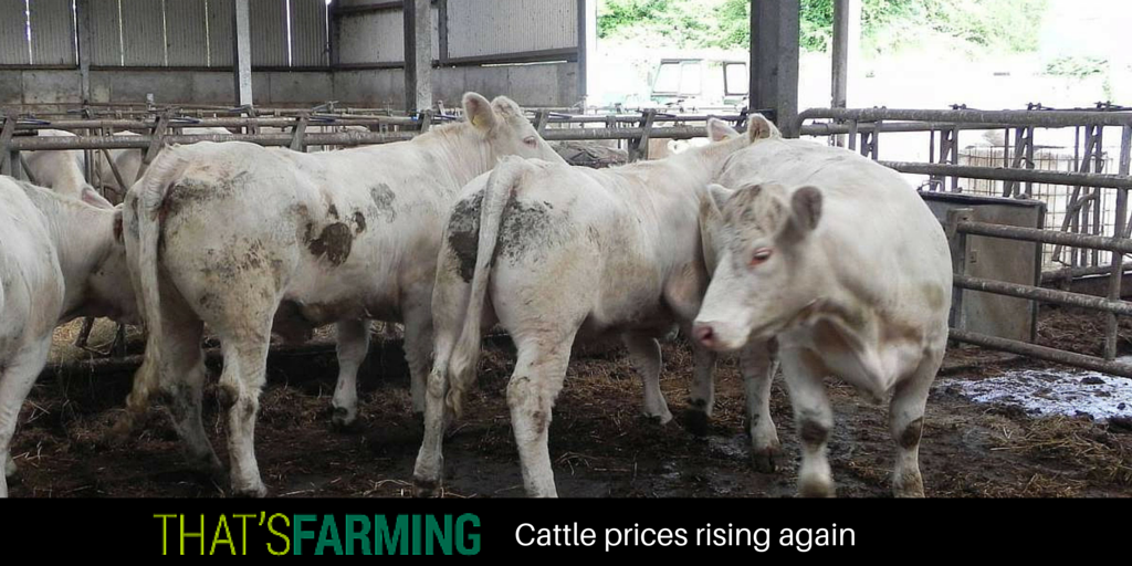 Cattle prices on the rise again.

buff.ly/1JiuYv3

#ThatsFarming #AgIE