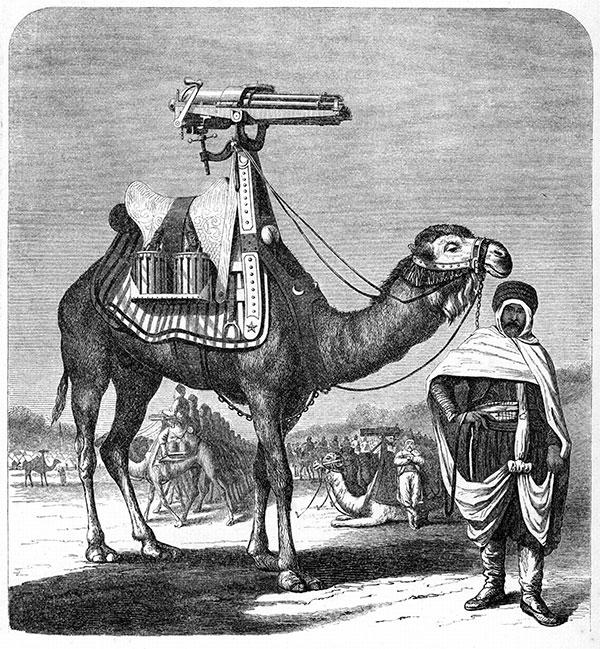 ザンブーラキ とは、近代から20世紀まで使われた駱駝騎兵と銃火器とを組み合わせた特殊な動物兵器である。
旋回砲をヒンジ止めしたサドルを背負ったラクダ、そしてそれに騎乗する兵士で構成される 
