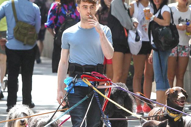 26 Times Daniel Radcliffe Proved He\s The Most Magical Muggle Of Them All  
