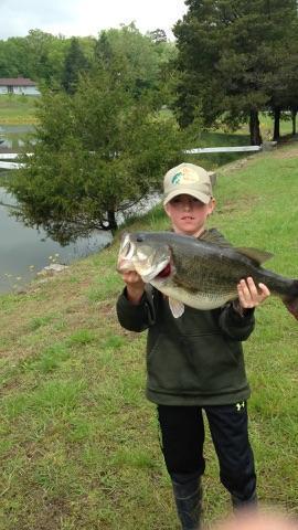 Banks shaw  tweet media