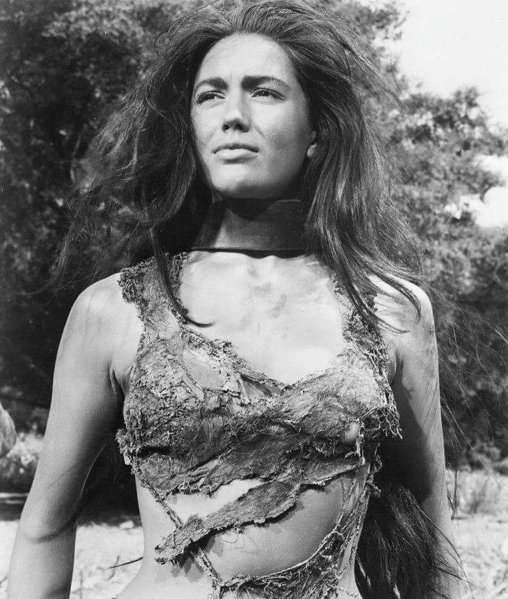 Happy 70th Birthday to Linda Harrison 