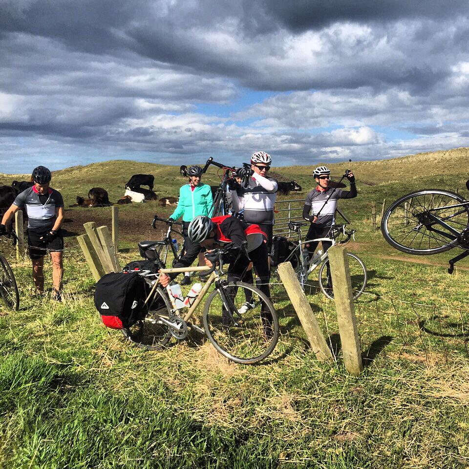 jrfgordon's tweet photo. #bbccycling Slightly lost on a recent Newcastle to Edinburgh ride ... the cows were certainly confused!!! http://t.co/WRglU03sEY