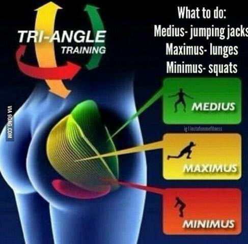 ShakeConnection's tweet photo. The anatomy of your booty muscles #bodybuilding 💪 http://t.co/eMTiVICEIi