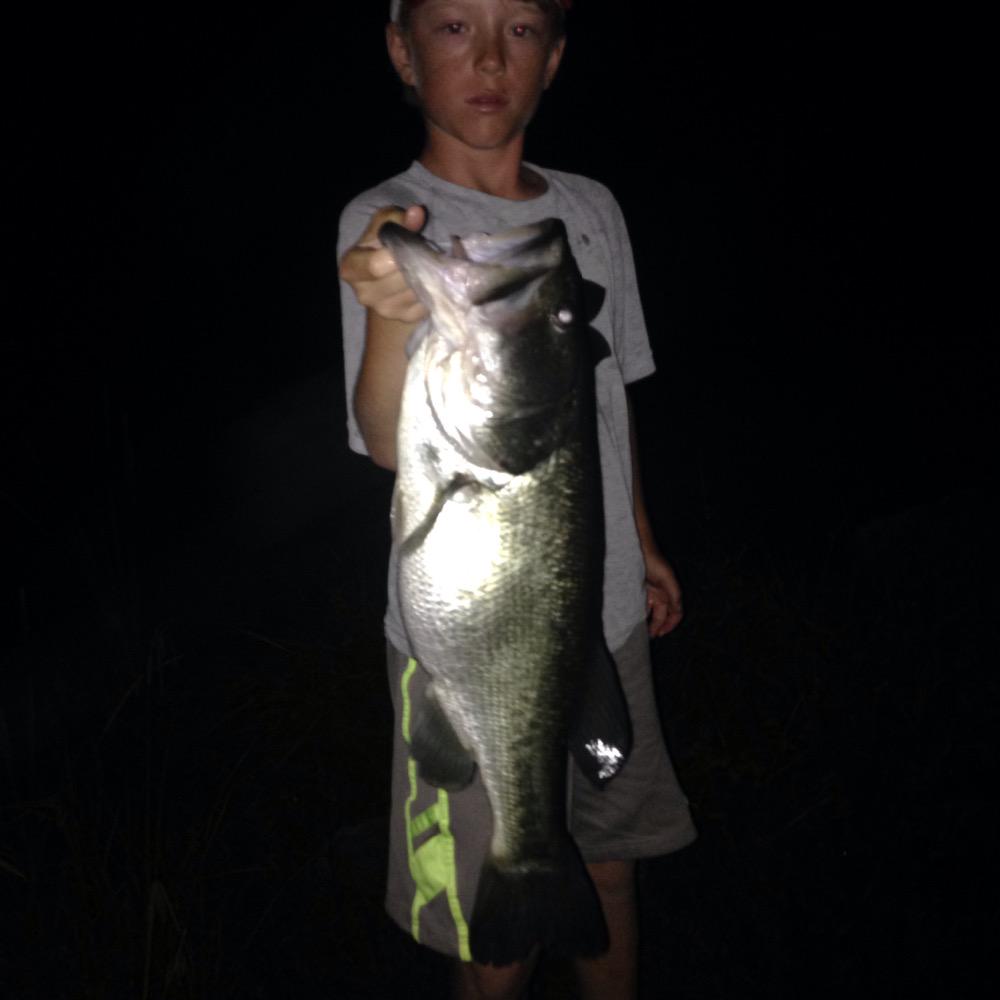 Banks shaw  tweet media