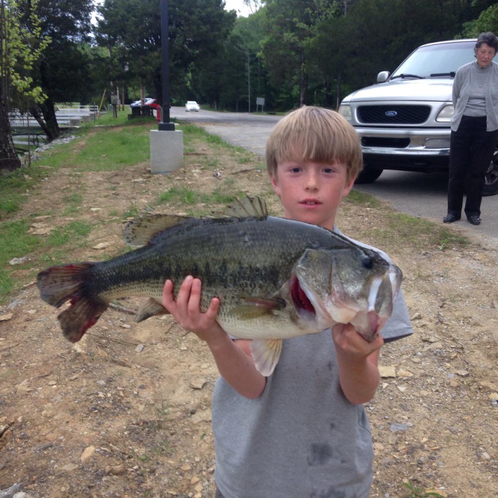 Banks shaw  tweet media