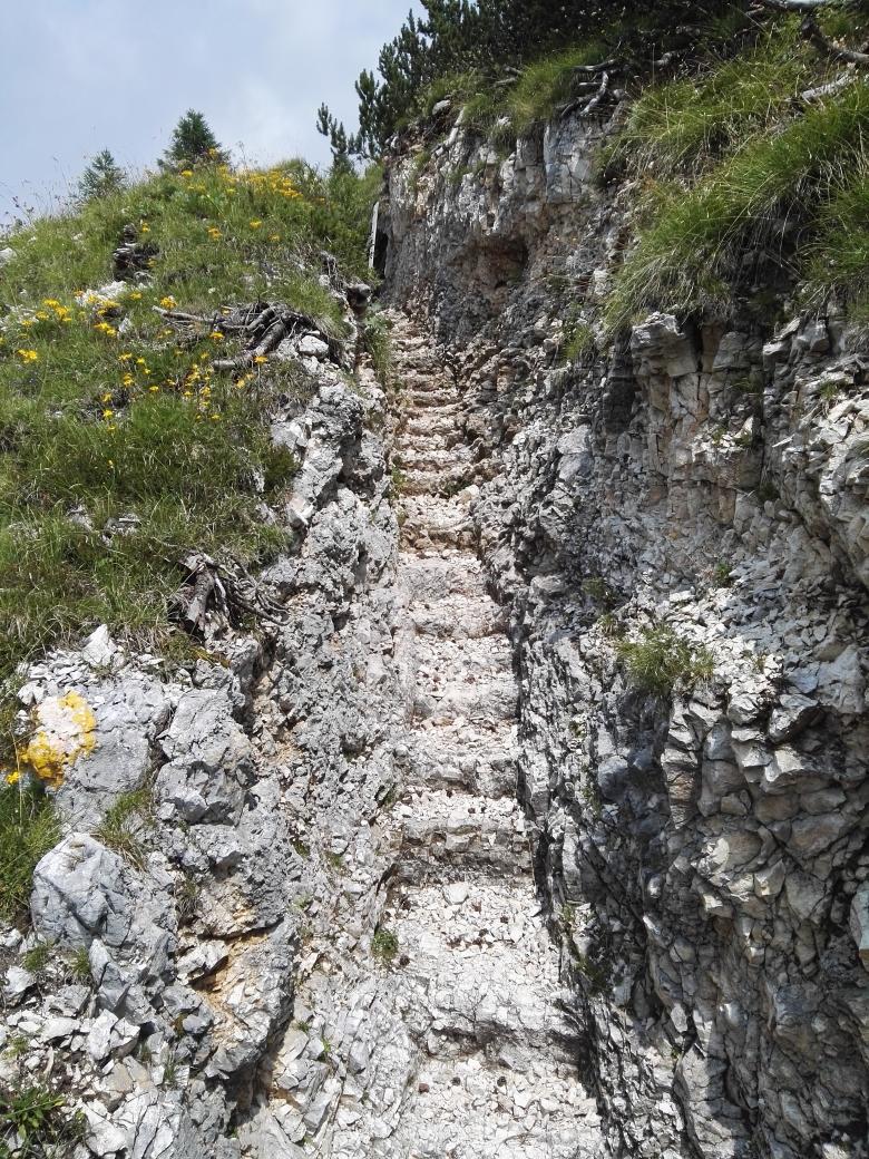 Pascon79's tweet photo. Monte Ortigara, camminamenti della Grande Guerra. Scattata con Huawei P8 grazie al progetto TRND. http://t.co/ul9n6c9SnL