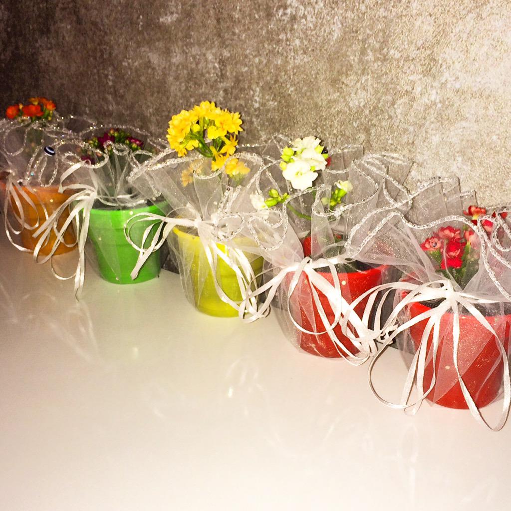 Canlı Minik Çiçekler (@nikahcicegi) on Twitter photo 