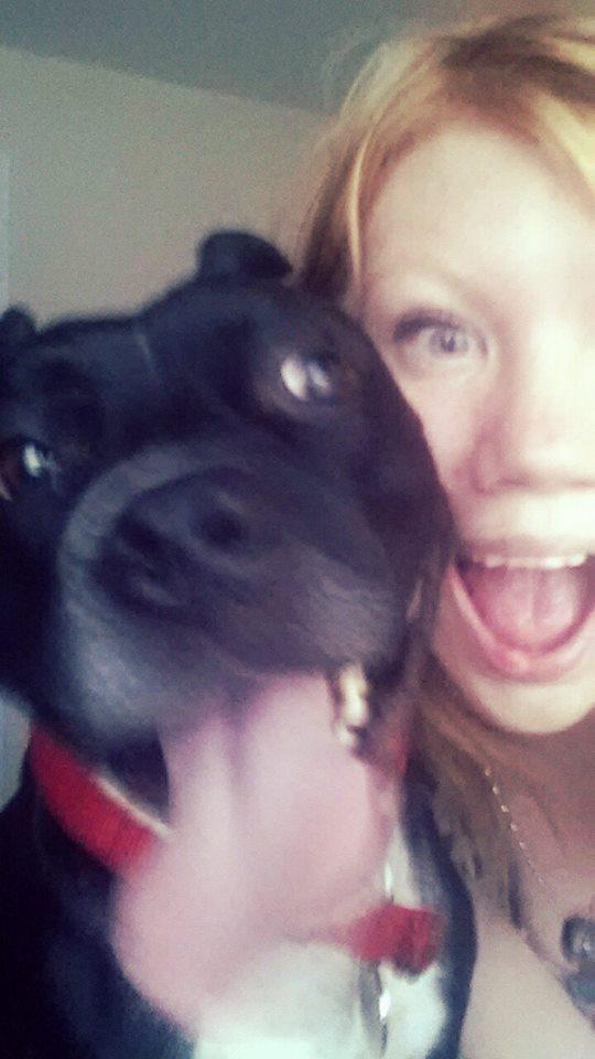 LegsAkimboX's tweet photo. #TGIF #fridayfeeling #DogLove #Happy :) http://t.co/FhK0g8MxAC