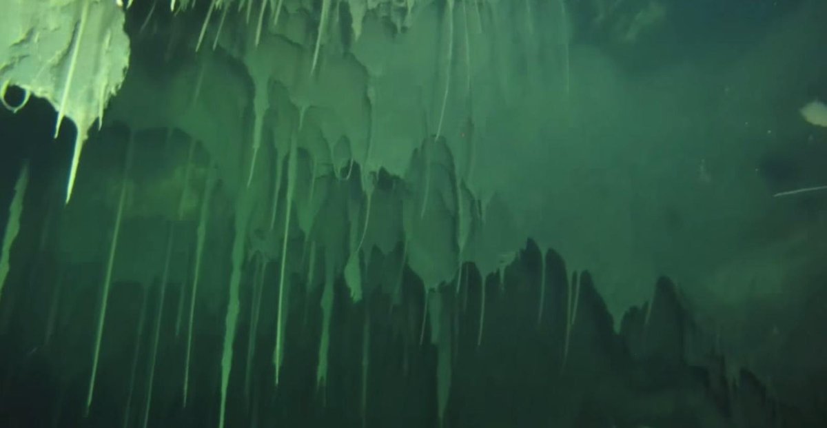 Watch: Cave Divers Explore Pandora Cave bit.ly/1MMcIJy