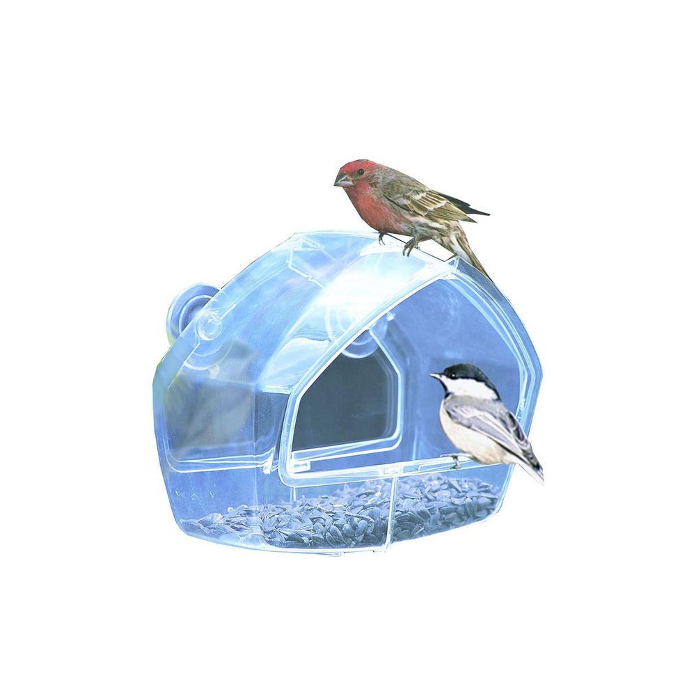 Birdscapes Hashtag On Twitter