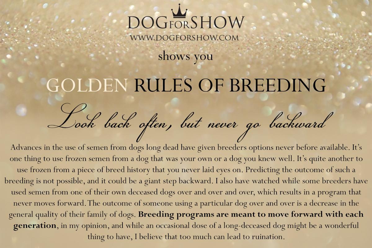 #dogforshow #breedingtips #breedingadvice #breeding